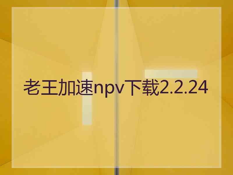 老王加速npv下载2.2.24