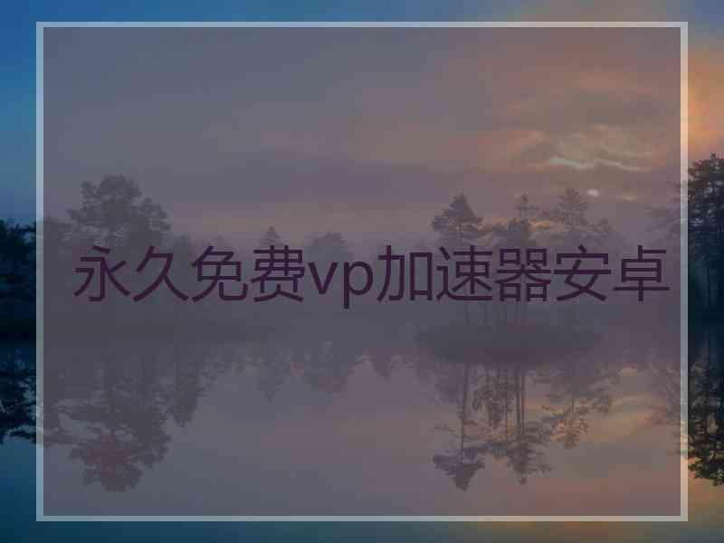 永久免费vp加速器安卓