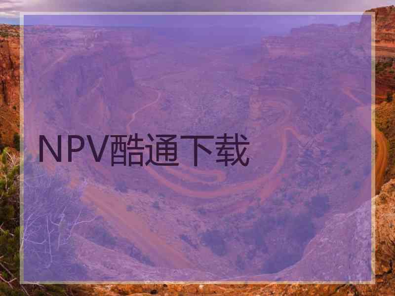 NPV酷通下载