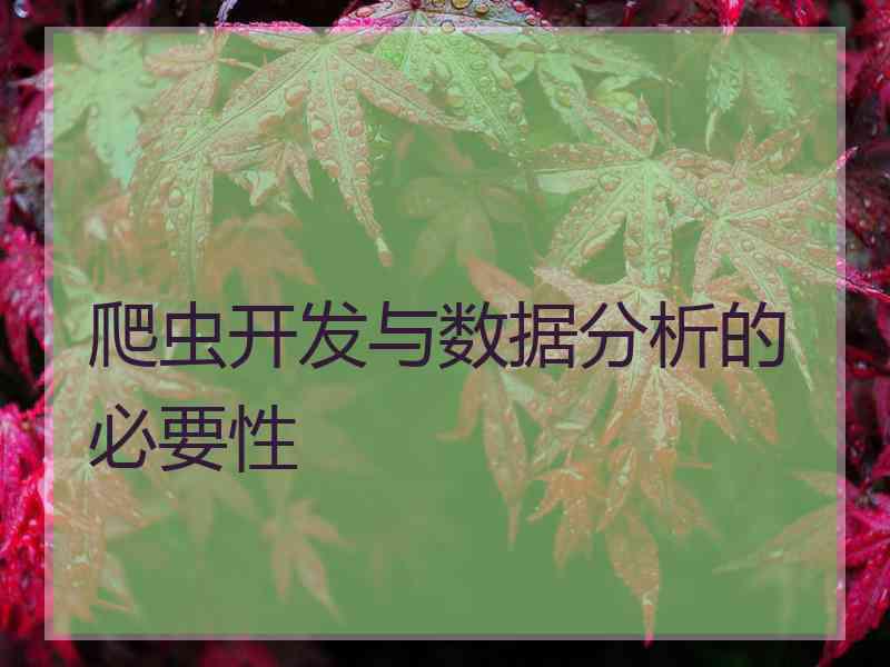 爬虫开发与数据分析的必要性