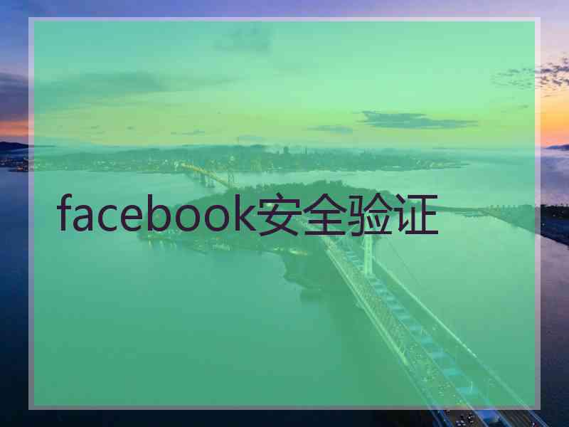 facebook安全验证