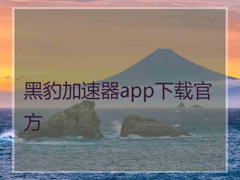 黑豹加速器app下载官方