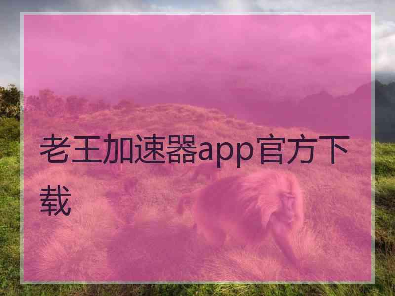 老王加速器app官方下载