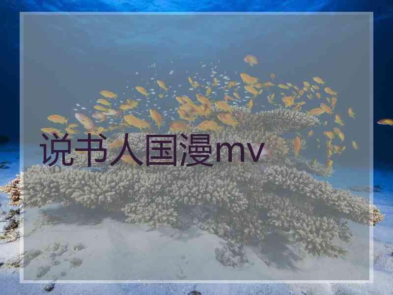 说书人国漫mv