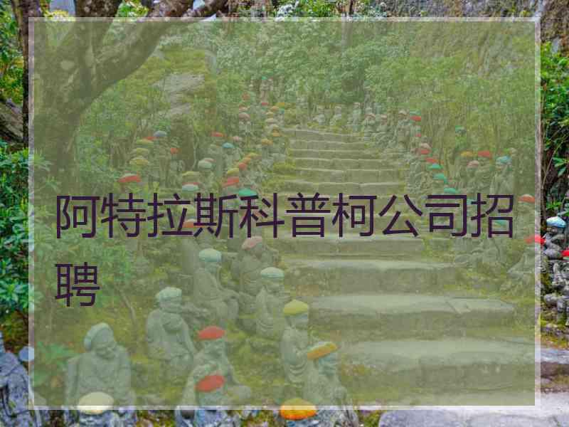 阿特拉斯科普柯公司招聘