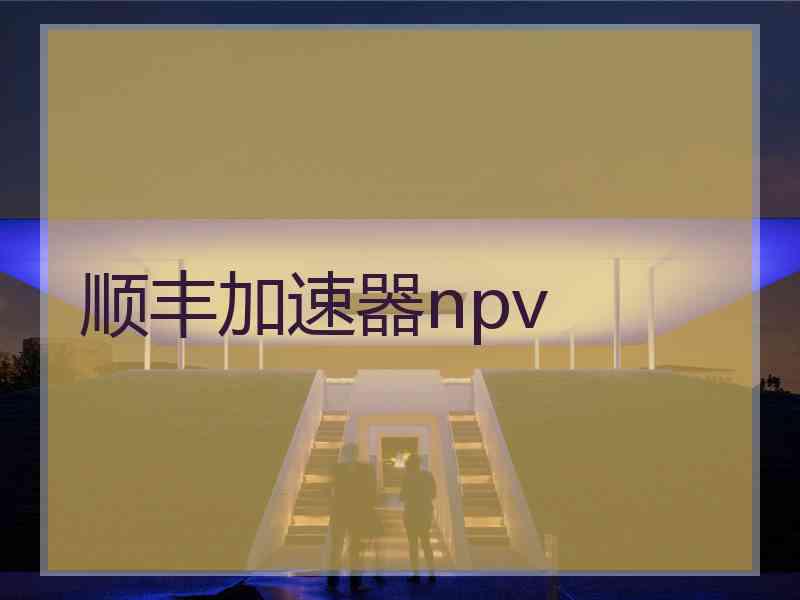 顺丰加速器npv