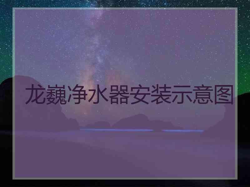 龙巍净水器安装示意图