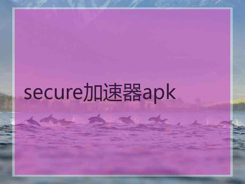 secure加速器apk