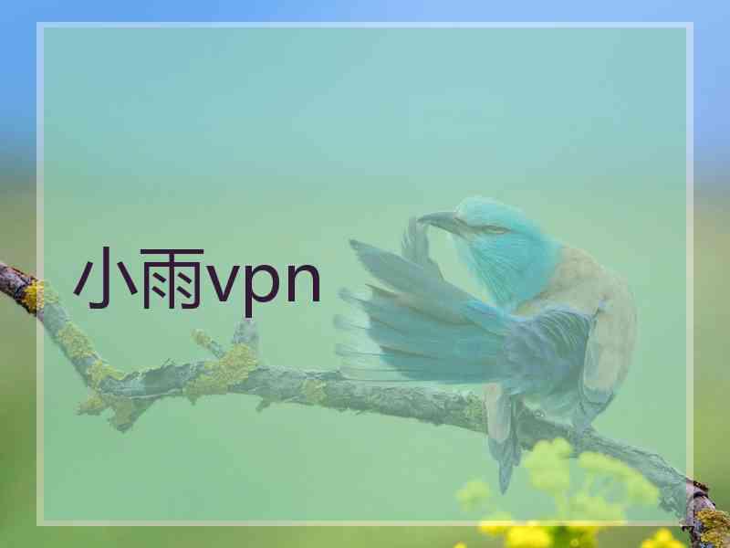 小雨vpn