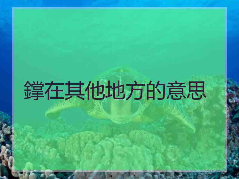 鐣在其他地方的意思