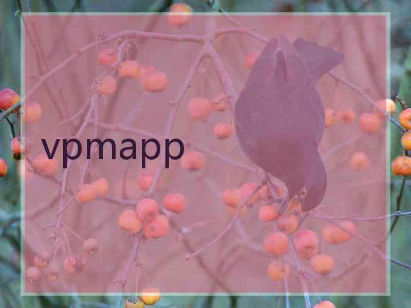 vpmapp