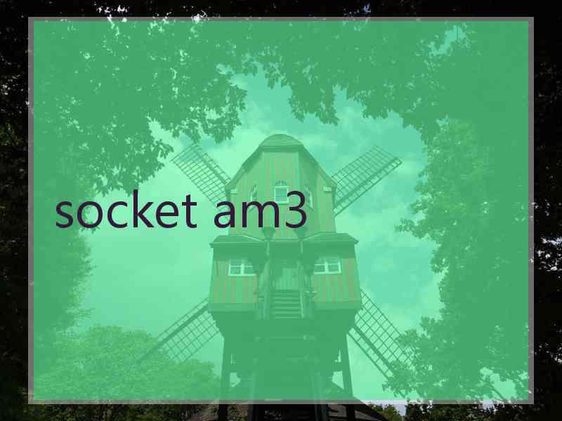 socket am3