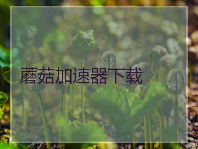 蘑菇加速器下载