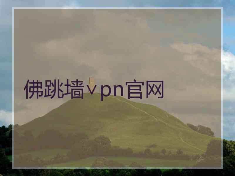 佛跳墙∨pn官网