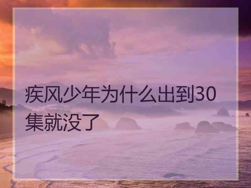 疾风少年为什么出到30集就没了