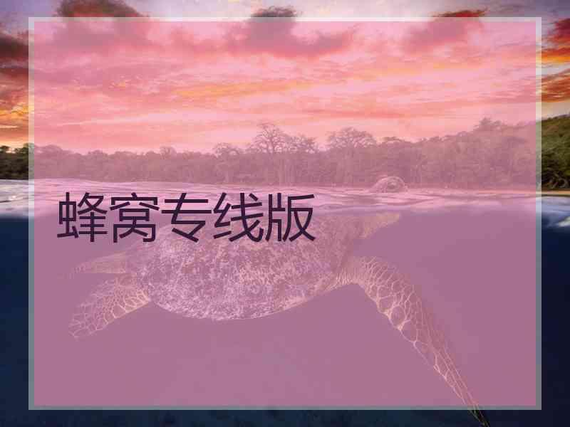 蜂窝专线版