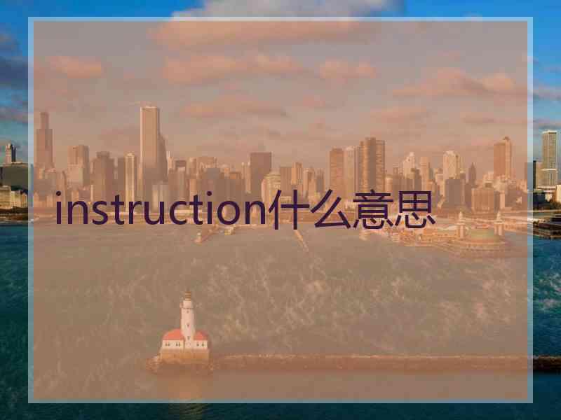 instruction什么意思