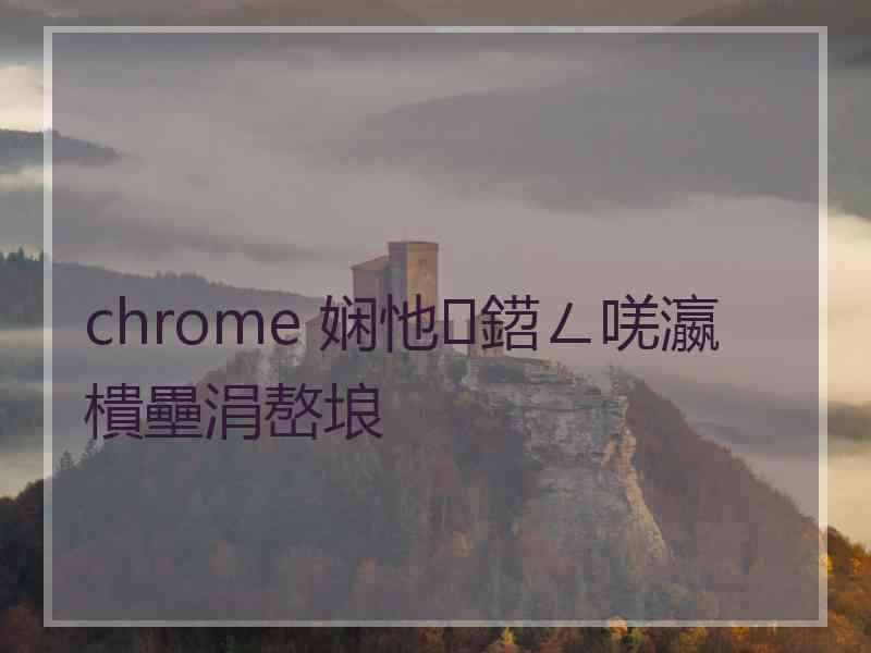 chrome 娴忚鍣ㄥ唴瀛樻壘涓嶅埌