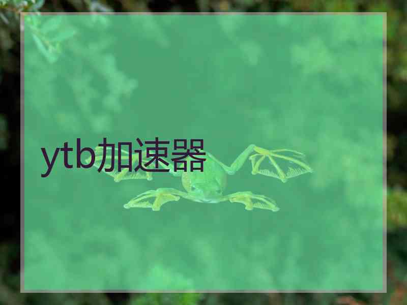 ytb加速器