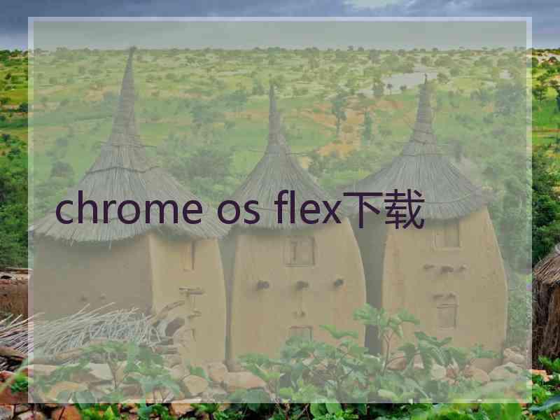 chrome os flex下载