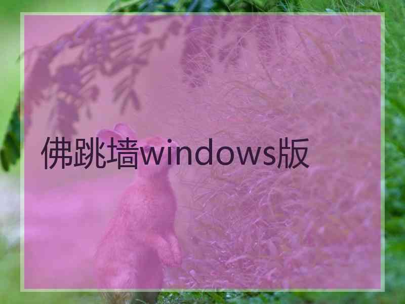 佛跳墙windows版