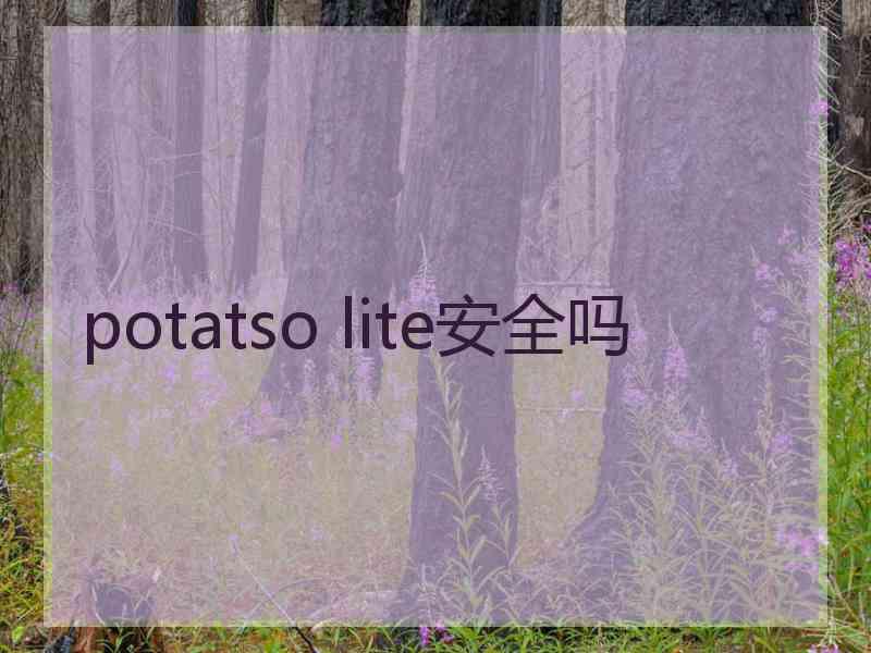 potatso lite安全吗