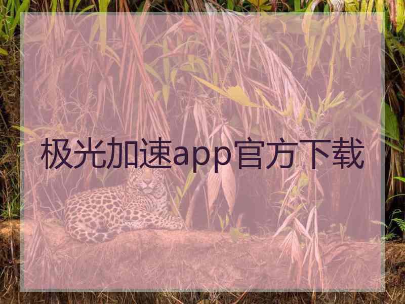 极光加速app官方下载