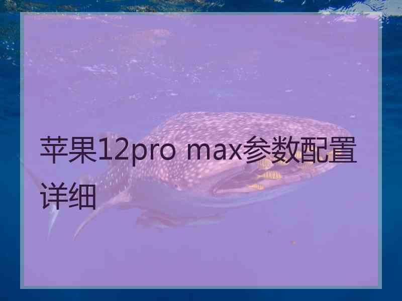 苹果12pro max参数配置详细