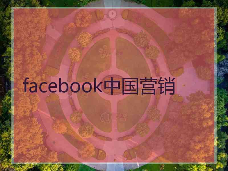 facebook中国营销