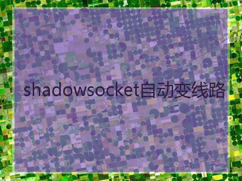 shadowsocket自动变线路