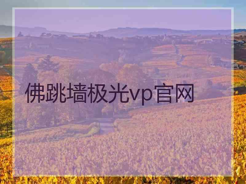 佛跳墙极光vp官网