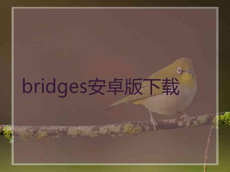 bridges安卓版下载