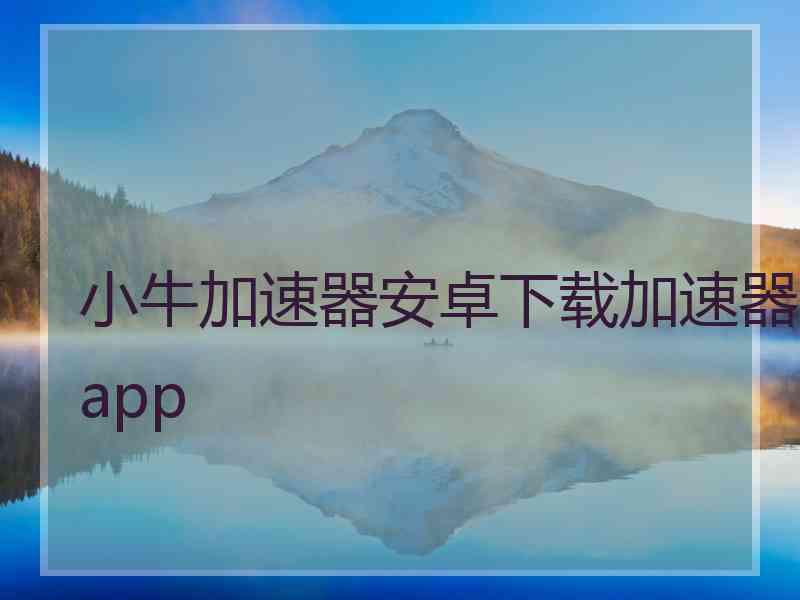 小牛加速器安卓下载加速器app