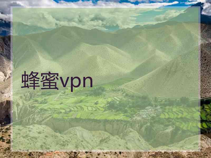 蜂蜜vpn