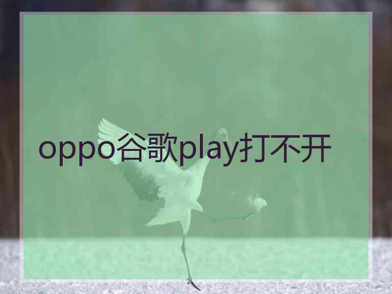 oppo谷歌play打不开