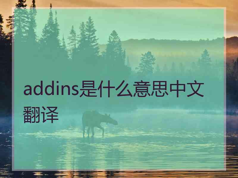 addins是什么意思中文翻译