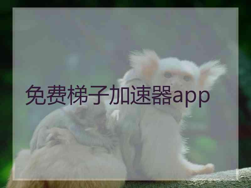 免费梯子加速器app