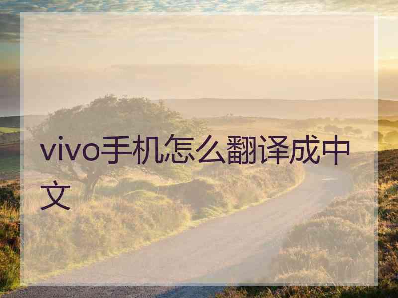 vivo手机怎么翻译成中文