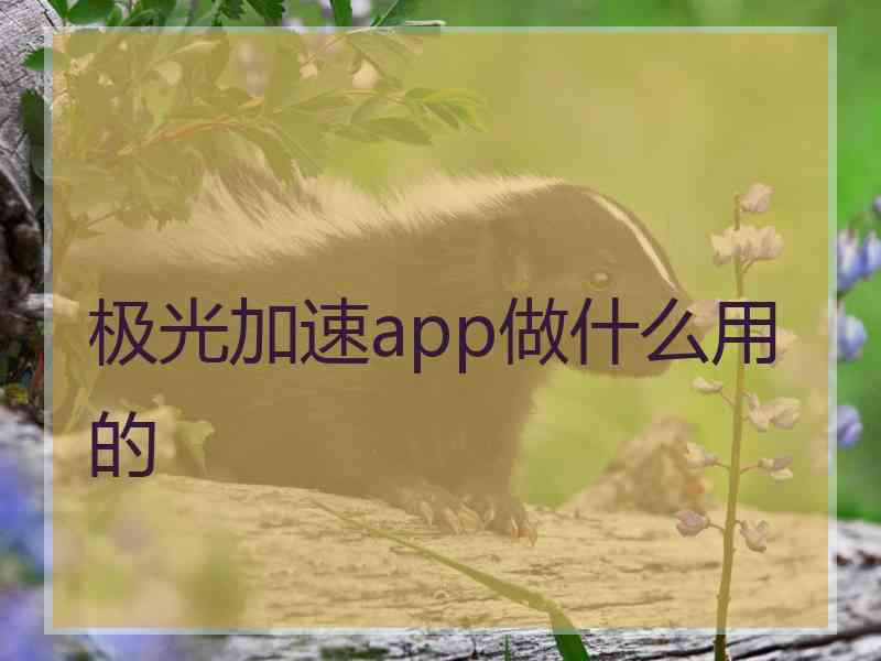 极光加速app做什么用的