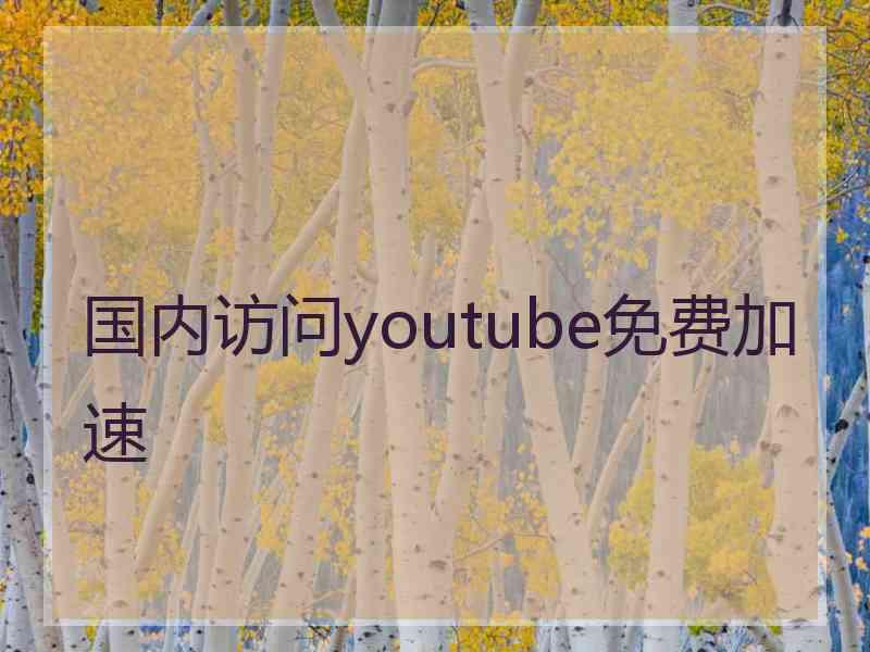 国内访问youtube免费加速