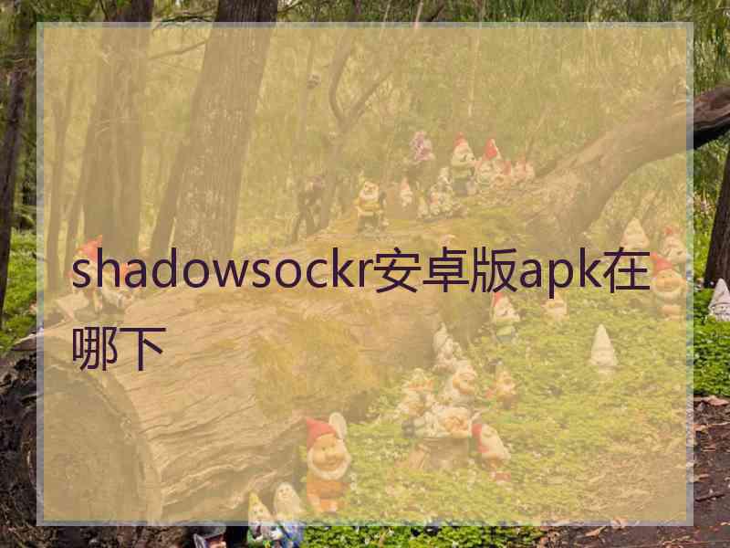 shadowsockr安卓版apk在哪下