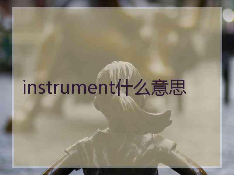 instrument什么意思