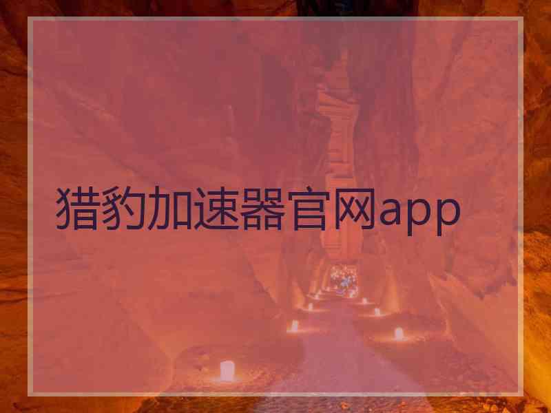 猎豹加速器官网app