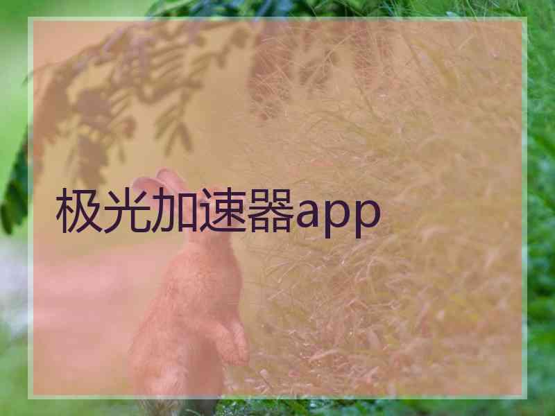 极光加速器app