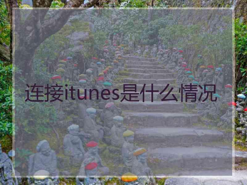 连接itunes是什么情况