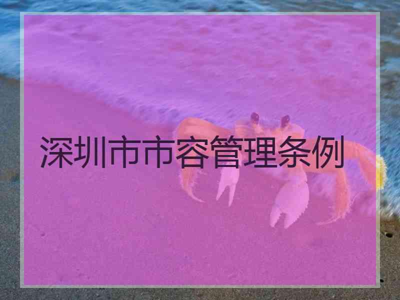 深圳市市容管理条例