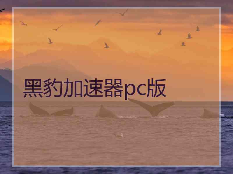 黑豹加速器pc版