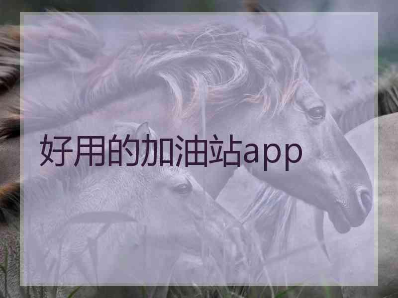 好用的加油站app