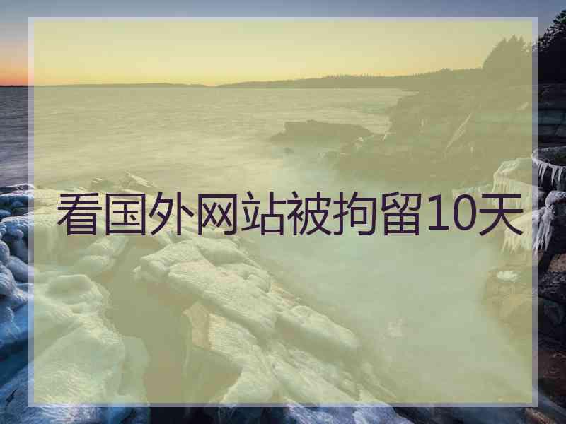 看国外网站被拘留10天