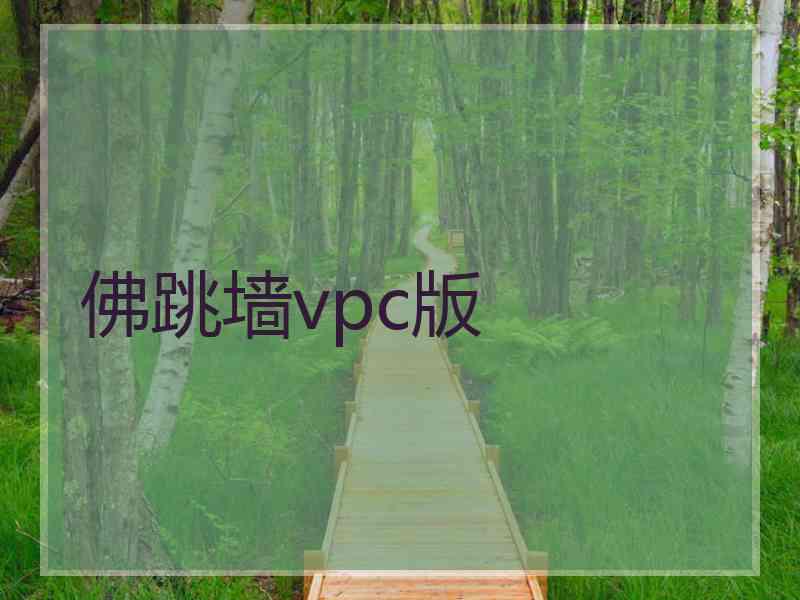 佛跳墙vpc版